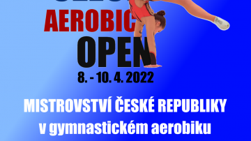 Plakat_aer_open_2022.png